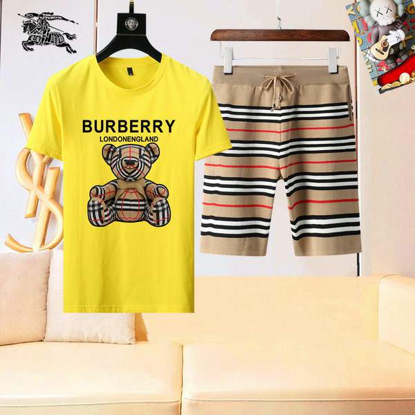 Picture of Burberry Shirt Pant Suits _SKUBurberryM-3XL13gr30620254